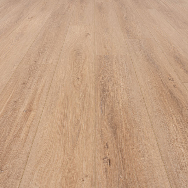 Provenza Moda Living Collection First Glance