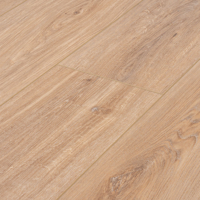 Provenza Moda Living Collection First Glance