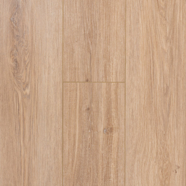 Provenza Moda Living Collection First Glance