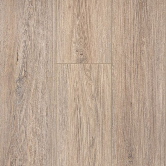 Provenza Moda Living Collection Joy Ride