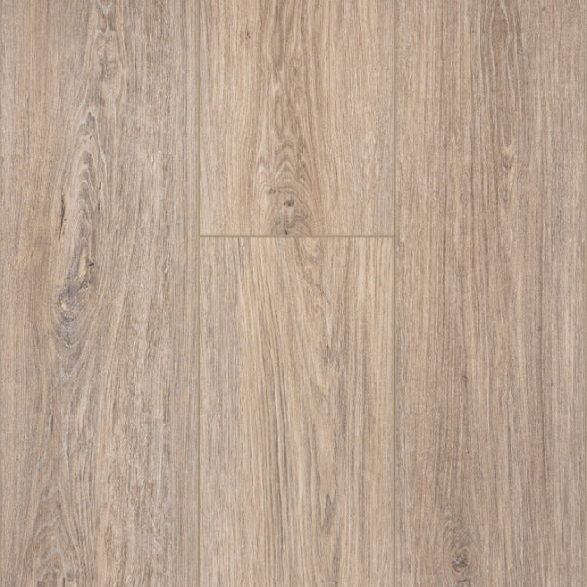 Provenza Moda Living Collection Joy Ride