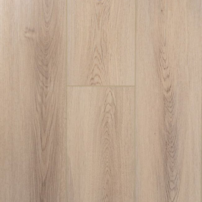 Provenza Moda Living Collection Midas Touch