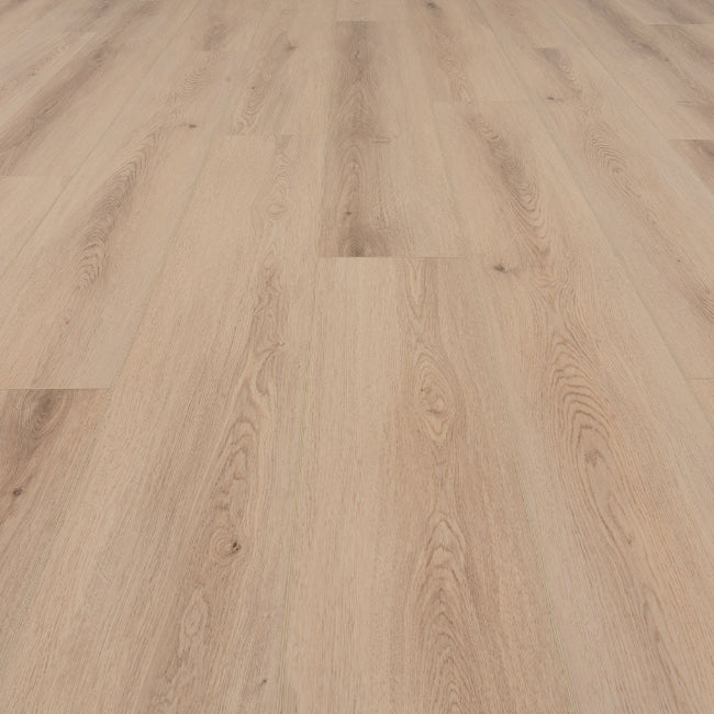 Provenza Moda Living Collection Midas Touch