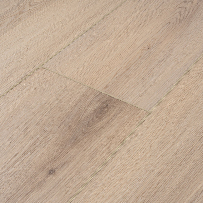 Provenza Moda Living Collection Midas Touch