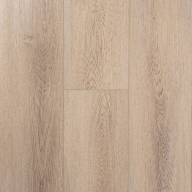 Provenza Moda Living Collection Midas Touch