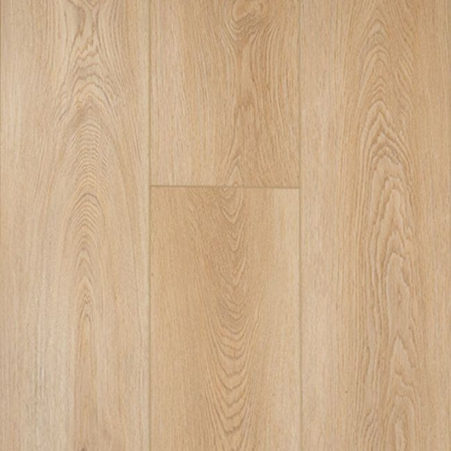 Provenza Moda Living Collection Road Trip