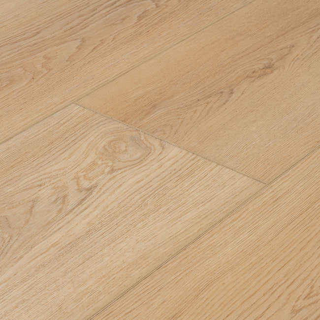 Provenza Moda Living Collection Road Trip