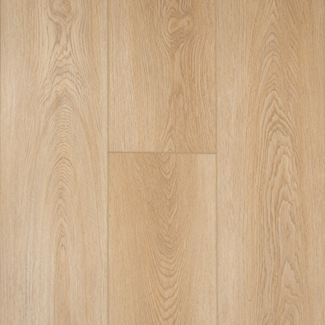 Provenza Moda Living Collection Road Trip