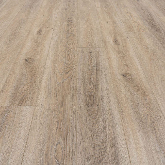 Provenza Moda Living Collection Rule Breaker