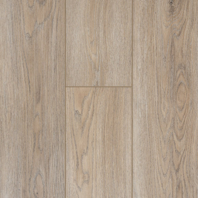 Provenza Moda Living Collection Rule Breaker