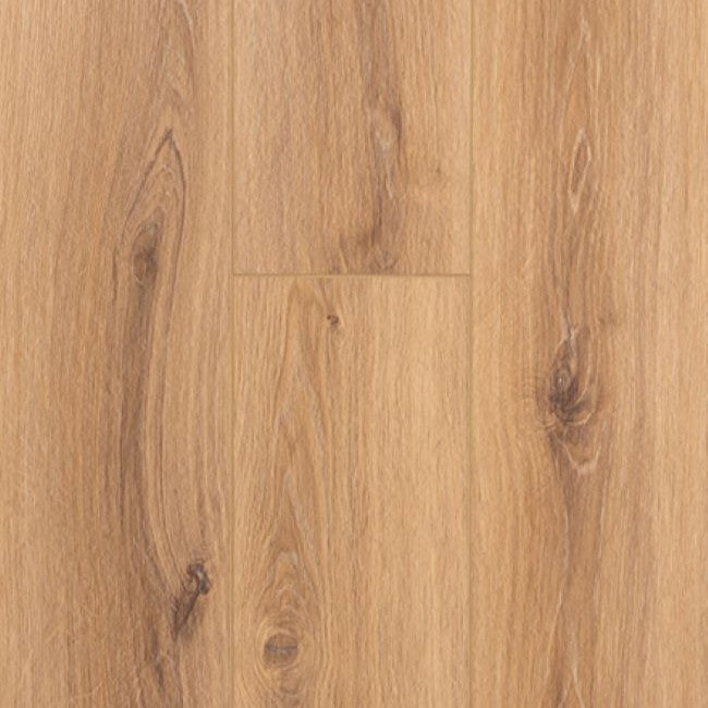 Provenza Moda Living Collection Star Struck