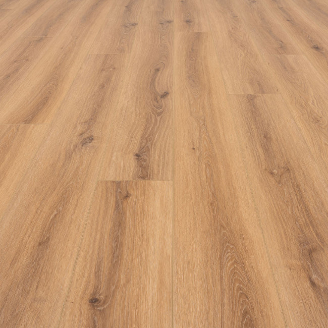 Provenza Moda Living Collection Star Struck