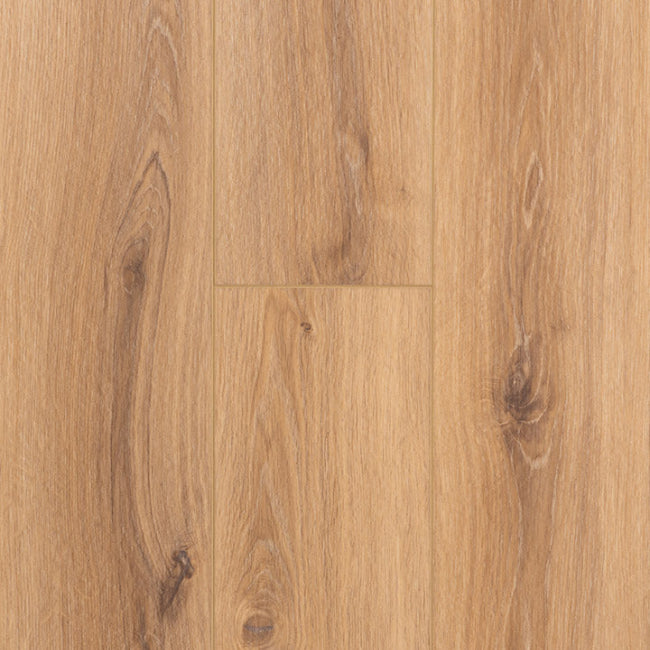 Provenza Moda Living Collection Star Struck