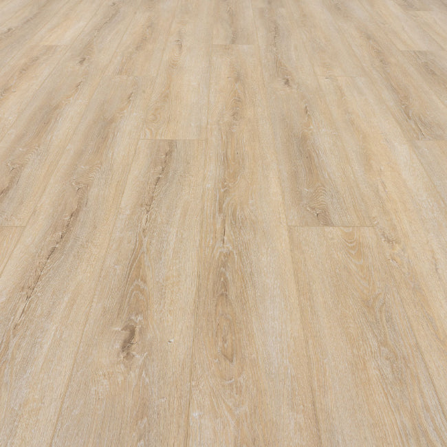 Provenza Moda Living Collection Wild Applause