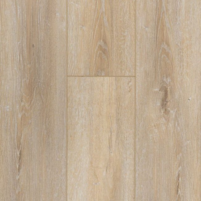 Provenza Moda Living Collection Wild Applause