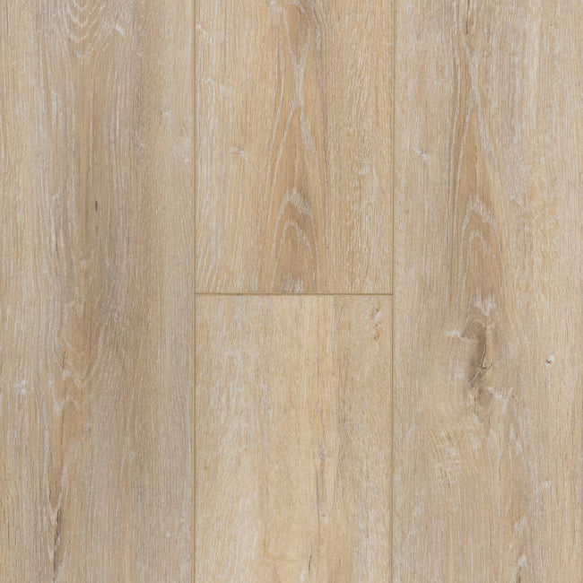 Provenza Moda Living Collection Wild Applause