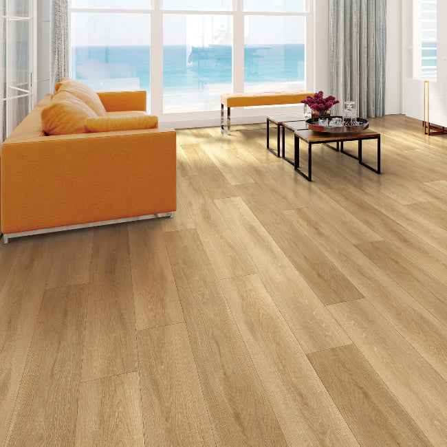 Provenza Moda Living Elite Collection Jewel