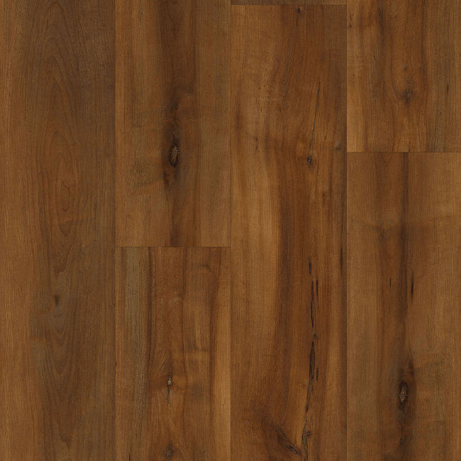 Provenza Moda Living Elite Collection Showpiece