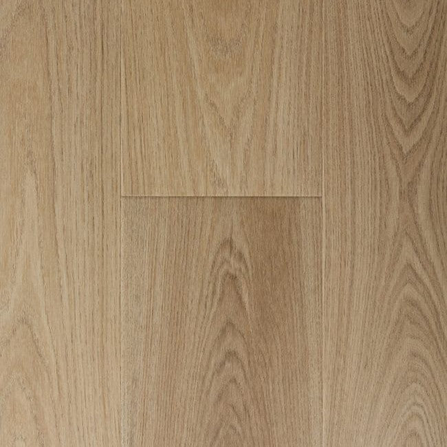 Provenza Modessa Collection Showtime