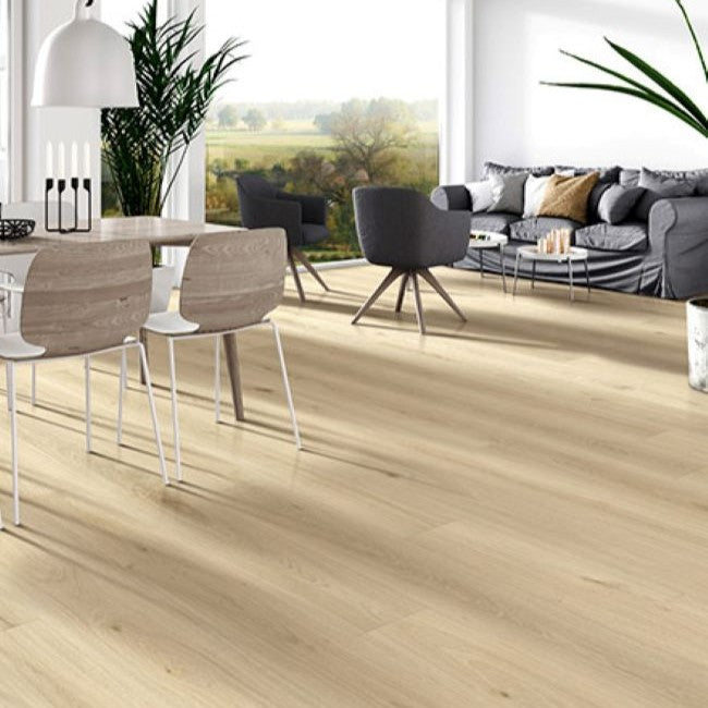 Provenza Modessa Collection So Chic