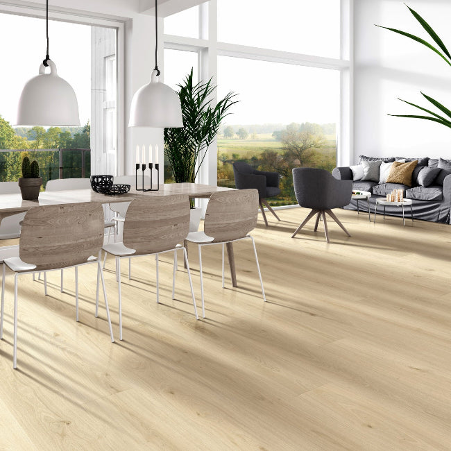 Provenza Modessa Collection So Chic