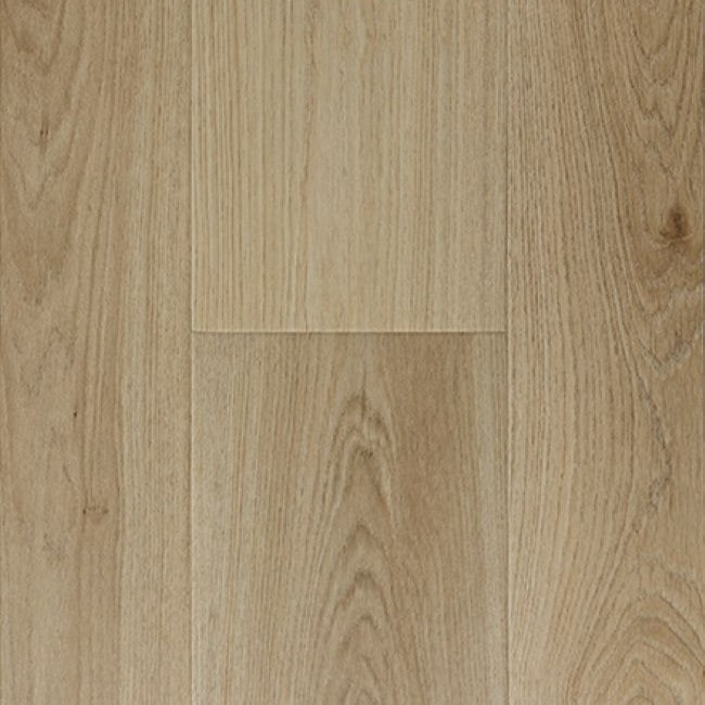 Provenza Modessa Collection So Chic