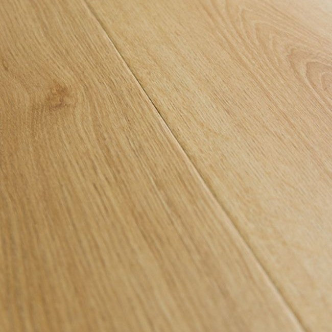 Provenza Modessa Collection Cover Story