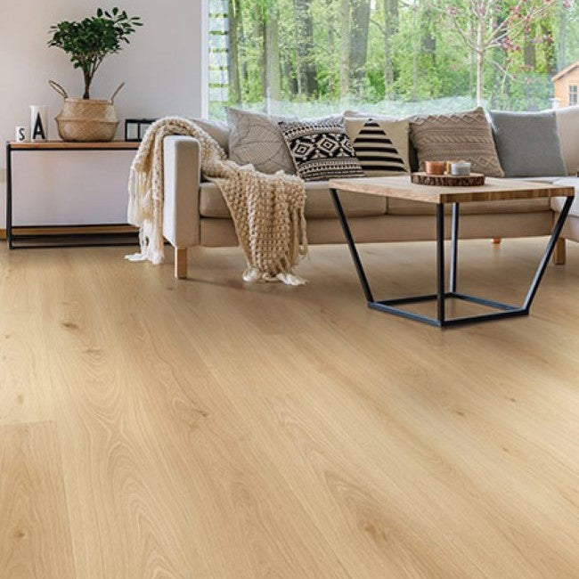 Provenza Modessa Collection Cover Story