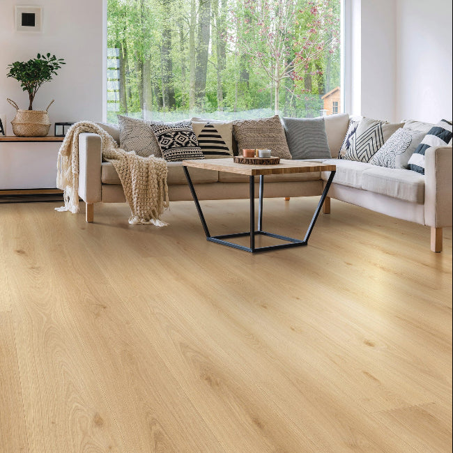 Provenza Modessa Collection Cover Story