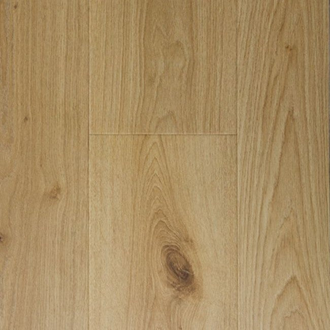 Provenza Modessa Collection Cover Story