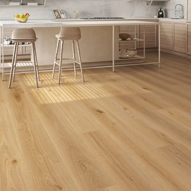 Provenza Modessa Collection High Life