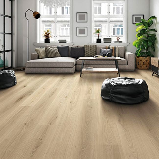 Provenza Modessa Collection Grandstand