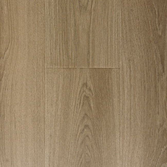 Provenza Modessa Collection Grandstand