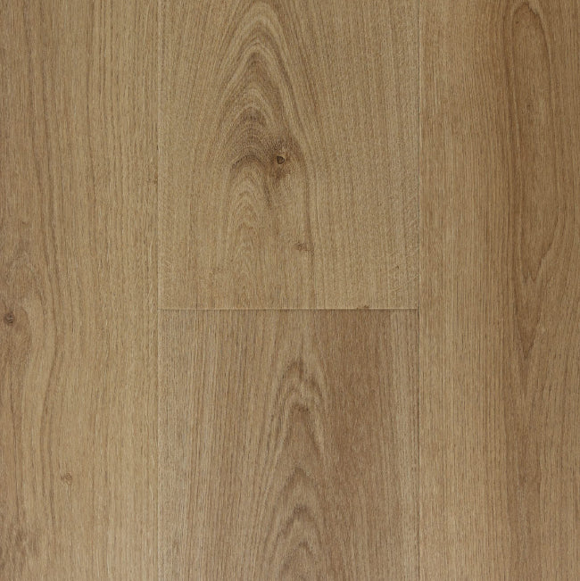 Provenza Modessa Collection Heartbreaker