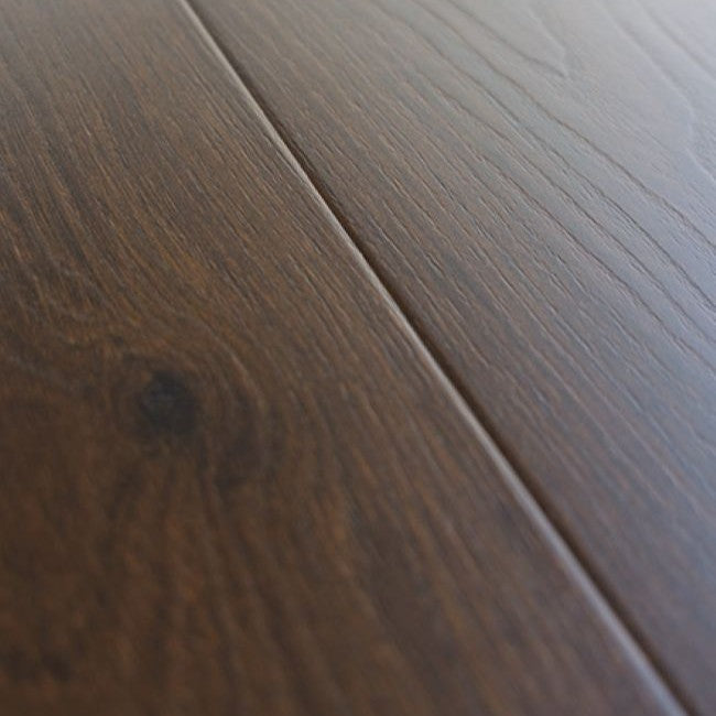 Provenza Modessa Collection Starling