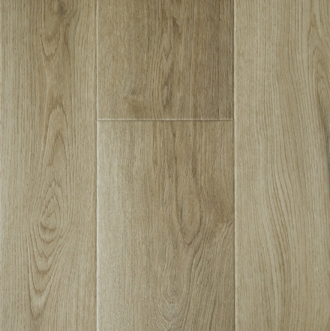 Provenza New Wave Collection Daring Doe