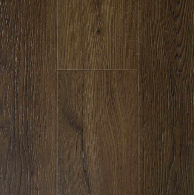 Provenza New Wave Collection Night Owl