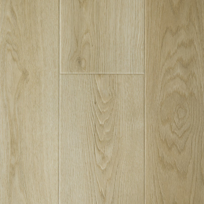 Provenza New Wave Collection Rare Earth