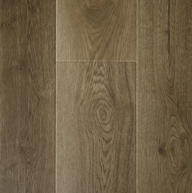 Provenza New Wave Collection Timber Wolf