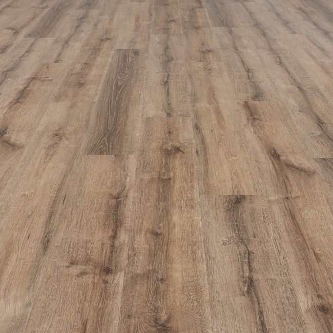 Provenza Uptown Chic Collection Posh Beige