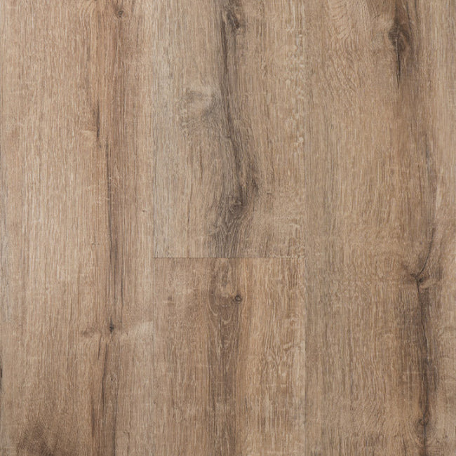 Provenza Uptown Chic Collection Posh Beige