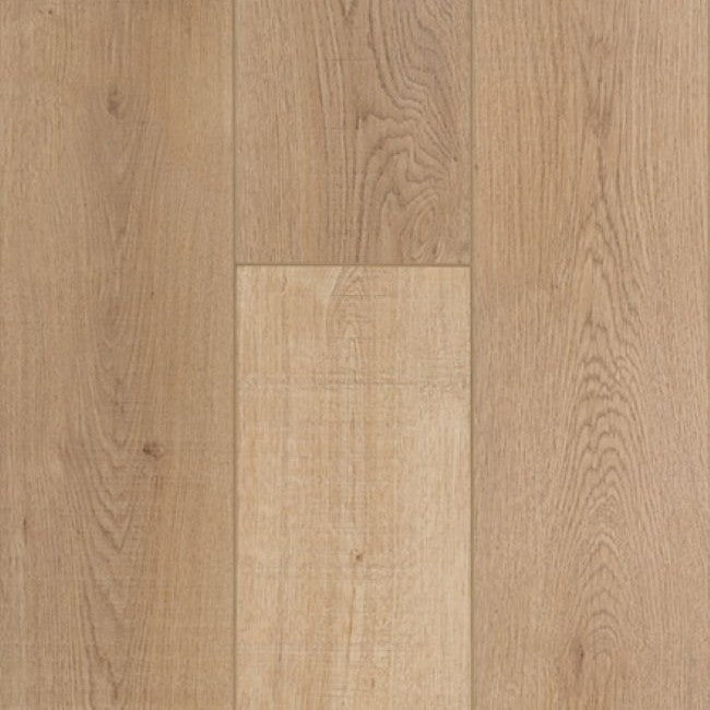 Provenza Uptown Chic Collection Rise 'n Shine