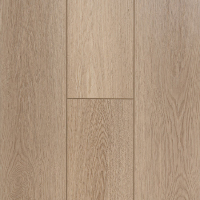 Provenza Uptown Chic Collection Summer Wind