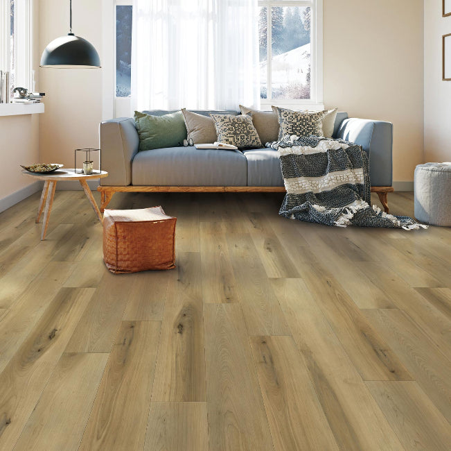 Provenza Uptown Chic Collection Good Life