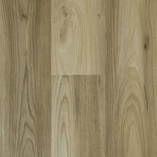 Provenza Uptown Chic Collection Wild Thing