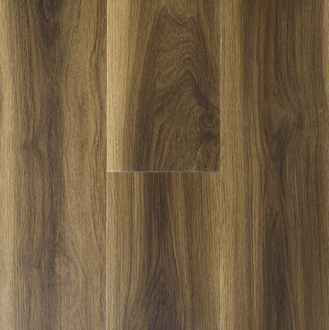 Provenza Uptown Chic Collection Next Level