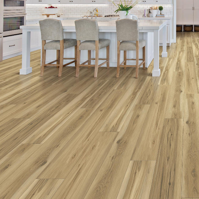 Provenza Uptown Chic Collection Barely Beige