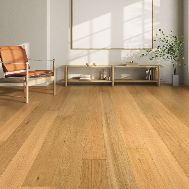 Provenza Opia Collection Maestro