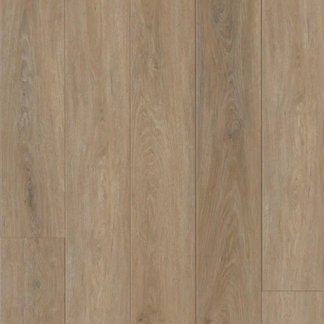 Republic The Creek Collection Baltic Brown