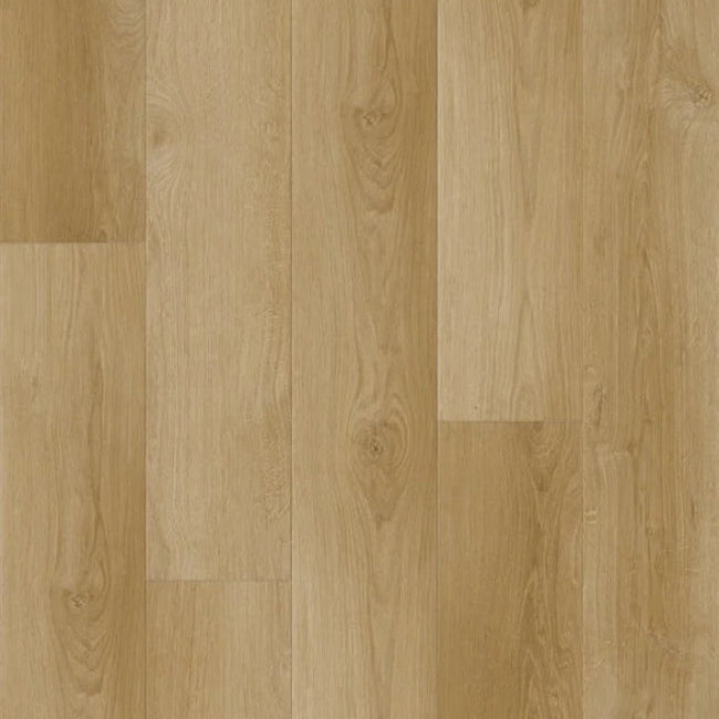 Republic South Rose Collection Dynasty Camel